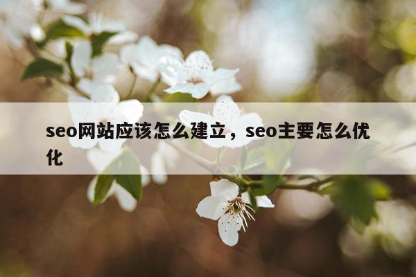 seo网站应该怎么建立，seo主要怎么优化