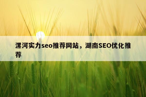 漯河实力seo推荐网站，湖南SEO优化推荐