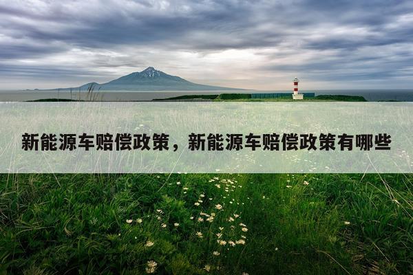 新能源车赔偿政策，新能源车赔偿政策有哪些