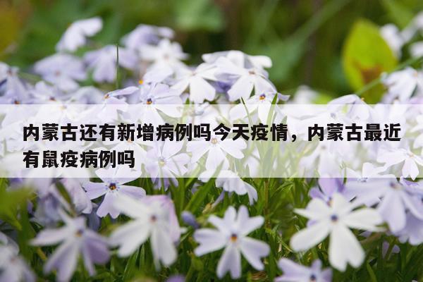 内蒙古还有新增病例吗今天疫情，内蒙古最近有鼠疫病例吗