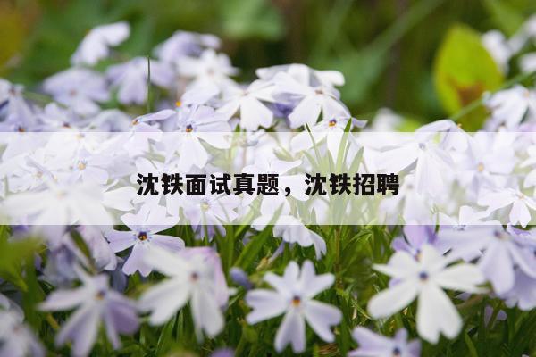 沈铁面试真题，沈铁招聘