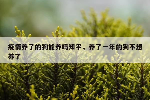 疫情养了的狗能养吗知乎，养了一年的狗不想养了