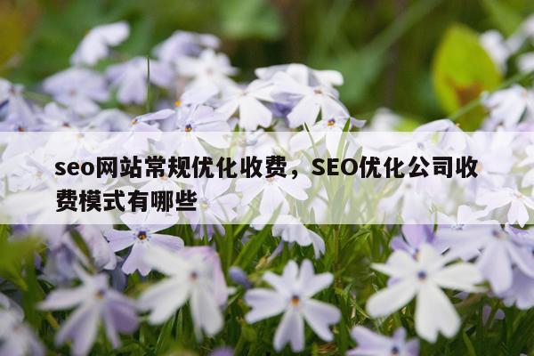 seo网站常规优化收费，SEO优化公司收费模式有哪些