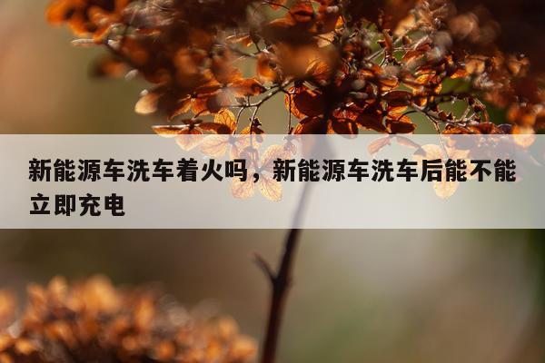 新能源车洗车着火吗，新能源车洗车后能不能立即充电