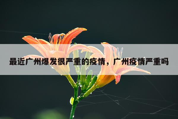 最近广州爆发很严重的疫情，广州疫情严重吗