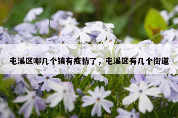 屯溪区哪几个镇有疫情了，屯溪区有几个街道