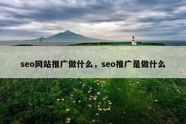 seo网站推广做什么，seo推广是做什么