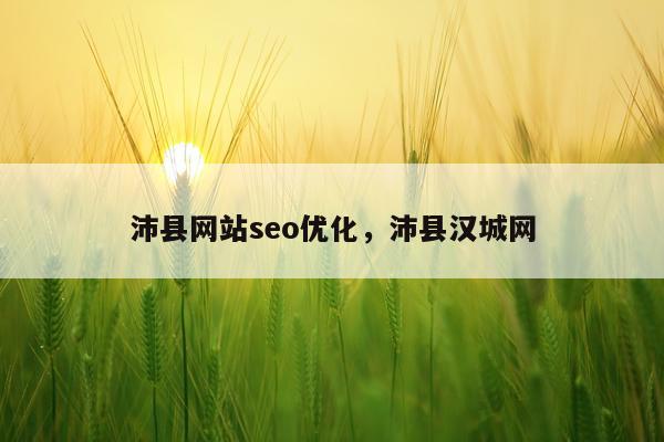 沛县网站seo优化，沛县汉城网