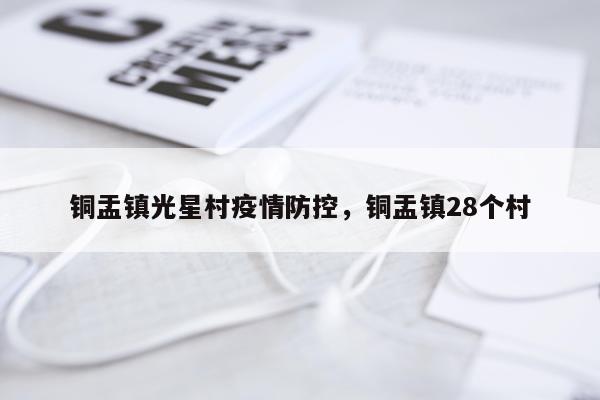 铜盂镇光星村疫情防控，铜盂镇28个村