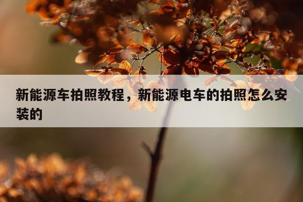 新能源车拍照教程，新能源电车的拍照怎么安装的