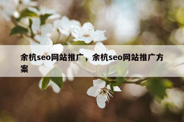 余杭seo网站推广，余杭seo网站推广方案