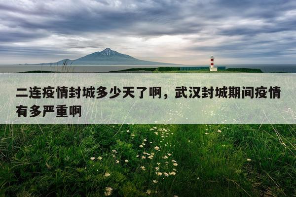 二连疫情封城多少天了啊，武汉封城期间疫情有多严重啊