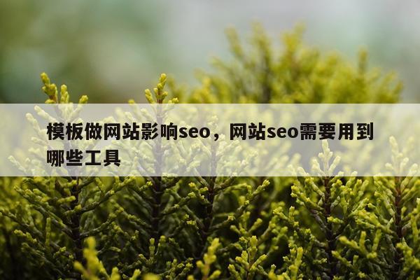 模板做网站影响seo，网站seo需要用到哪些工具