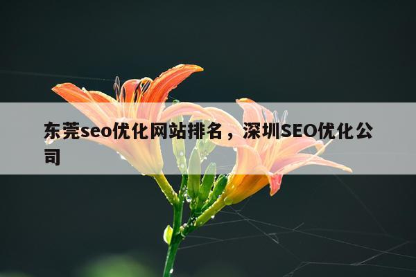 东莞seo优化网站排名，深圳SEO优化公司