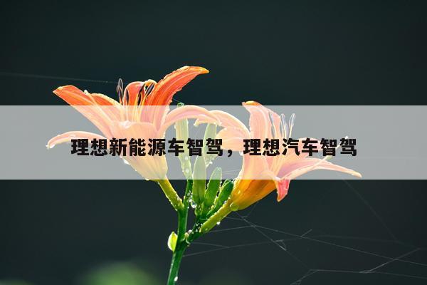 理想新能源车智驾，理想汽车智驾