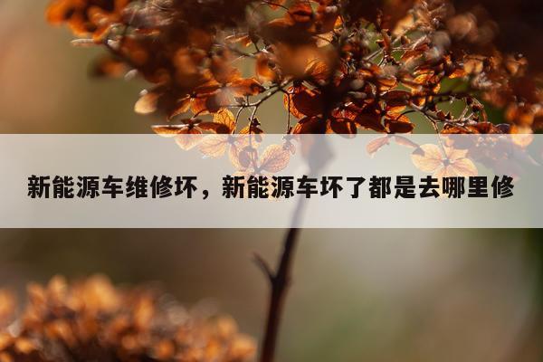 新能源车维修坏，新能源车坏了都是去哪里修