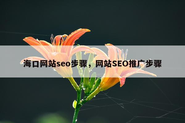 海口网站seo步骤，网站SEO推广步骤