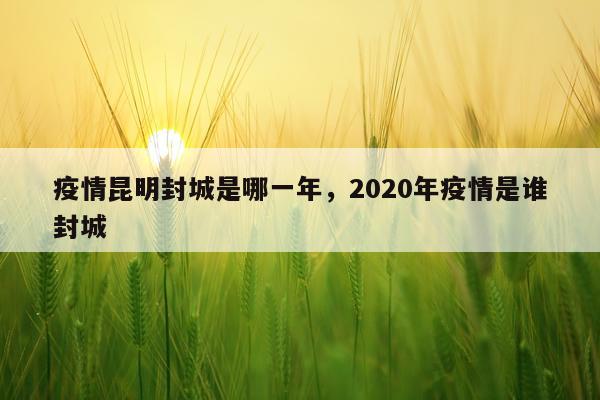 疫情昆明封城是哪一年，2020年疫情是谁封城