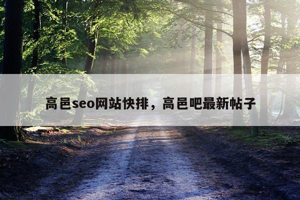 高邑seo网站快排，高邑吧最新帖子