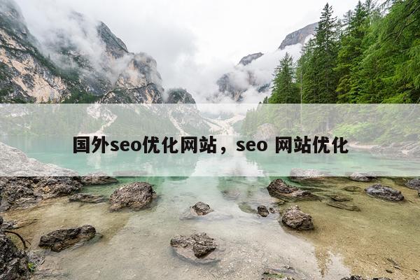 国外seo优化网站，seo 网站优化