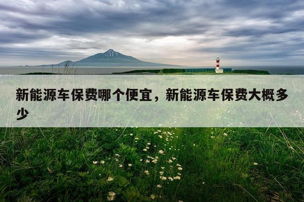 新能源车保费哪个便宜，新能源车保费大概多少