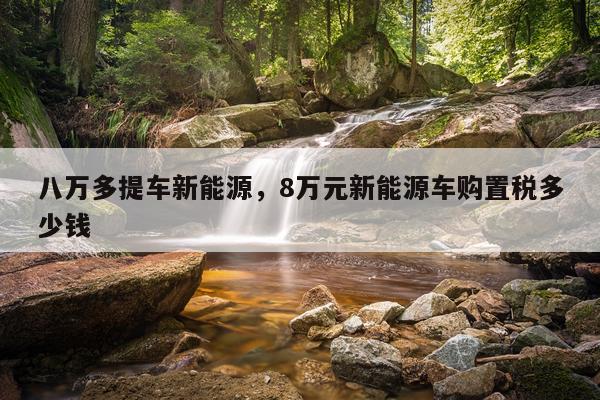 八万多提车新能源，8万元新能源车购置税多少钱