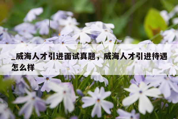 _威海人才引进面试真题，威海人才引进待遇怎么样