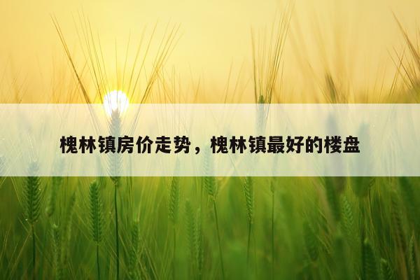 槐林镇房价走势，槐林镇最好的楼盘