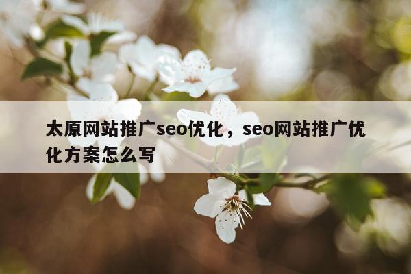 太原网站推广seo优化，seo网站推广优化方案怎么写