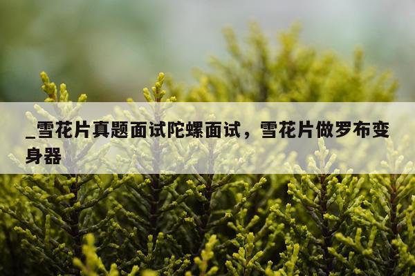 _雪花片真题面试陀螺面试，雪花片做罗布变身器