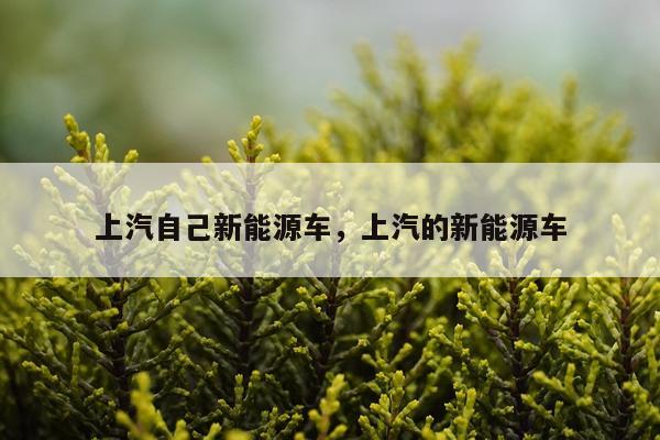 上汽自己新能源车，上汽的新能源车