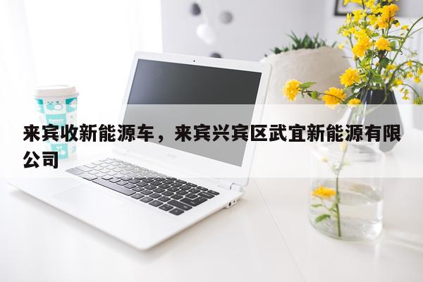 来宾收新能源车，来宾兴宾区武宜新能源有限公司