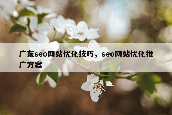 广东seo网站优化技巧，seo网站优化推广方案
