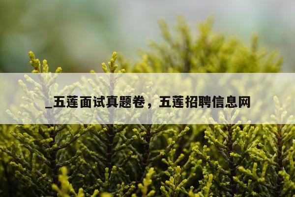 _五莲面试真题卷，五莲招聘信息网