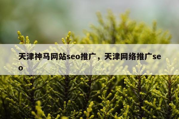 天津神马网站seo推广，天津网络推广seo