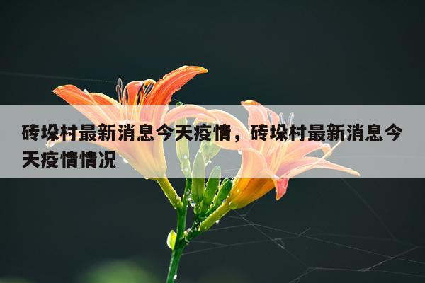 砖垛村最新消息今天疫情，砖垛村最新消息今天疫情情况