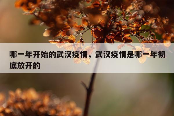哪一年开始的武汉疫情，武汉疫情是哪一年彻底放开的