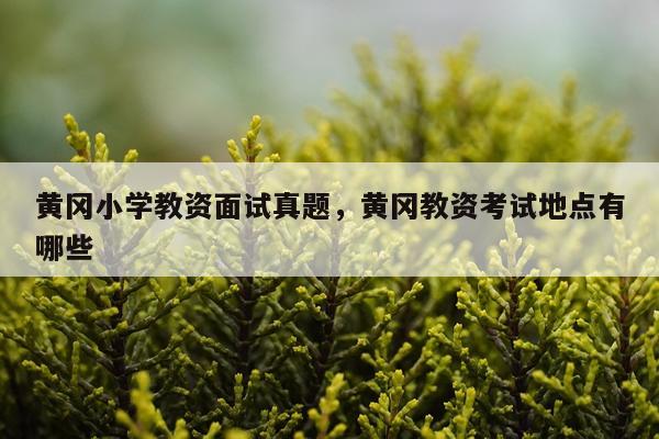 黄冈小学教资面试真题，黄冈教资考试地点有哪些
