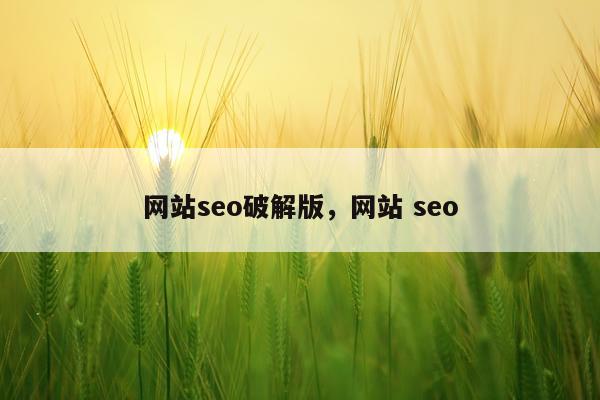 网站seo破解版，网站 seo