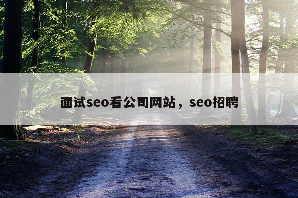 面试seo看公司网站，seo招聘