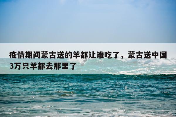 疫情期间蒙古送的羊都让谁吃了，蒙古送中国3万只羊都去那里了