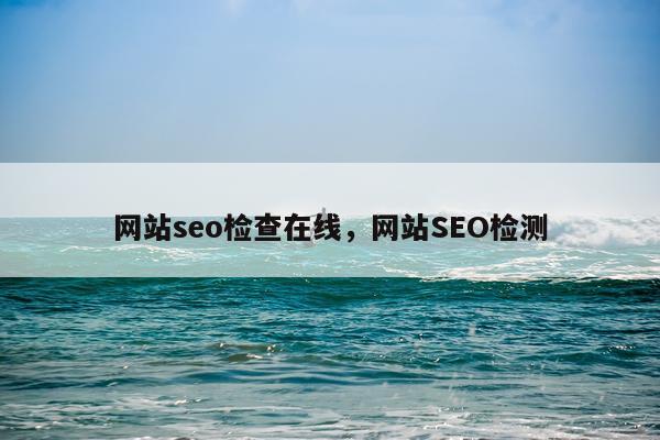 网站seo检查在线，网站SEO检测