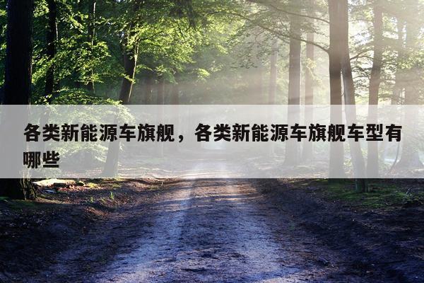各类新能源车旗舰，各类新能源车旗舰车型有哪些