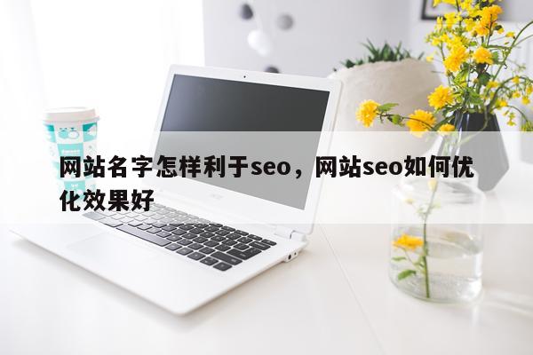 网站名字怎样利于seo，网站seo如何优化效果好