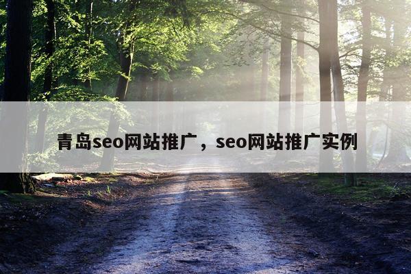 青岛seo网站推广，seo网站推广实例