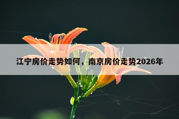 江宁房价走势如何，南京房价走势2026年