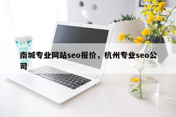 南城专业网站seo报价，杭州专业seo公司