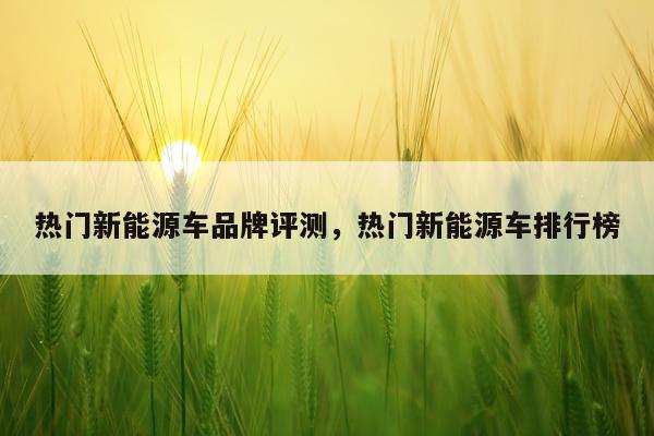 热门新能源车品牌评测，热门新能源车排行榜