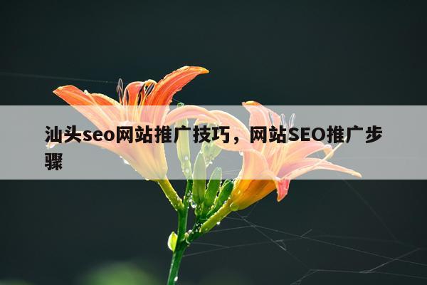 汕头seo网站推广技巧，网站SEO推广步骤