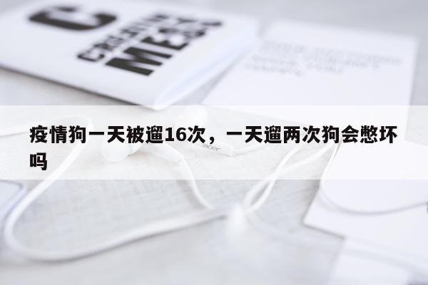 疫情狗一天被遛16次，一天遛两次狗会憋坏吗